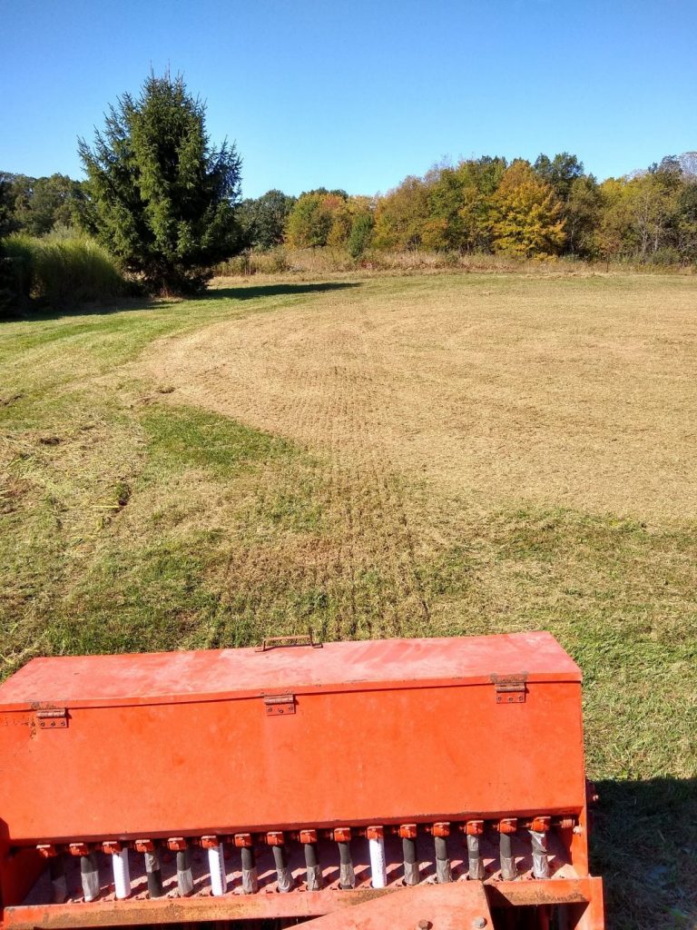 Pasture Overseeding