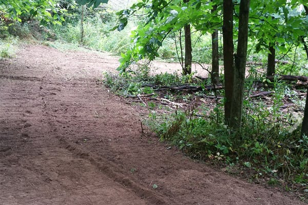 Deep Woods Food Plots