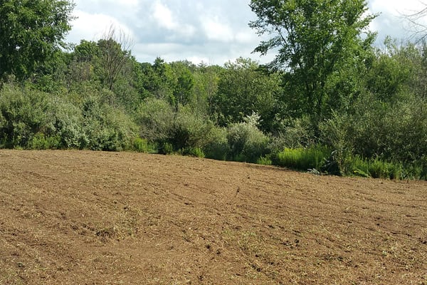 1/2 Acre Food Lot