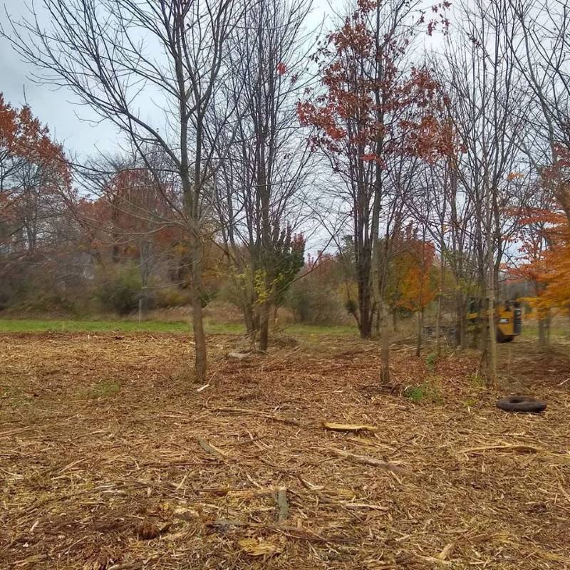 Forestry Mowing Hastings Grand Rapids Kalamazoo MI