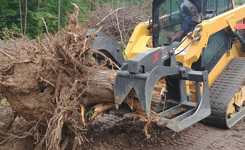 Stump Grinding and Removal