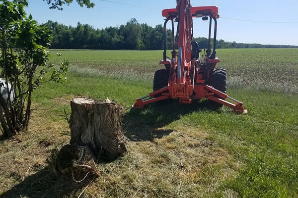 21 Inch Stump Removal