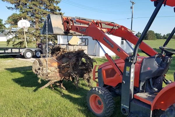 Stump Removal Muliken MI