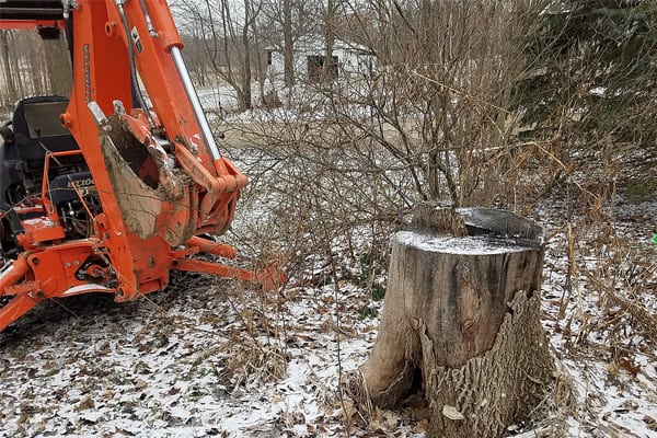 Stump Removal Hastings, MI