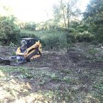 Brush clearing Cloverdale, Michigan