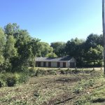 Brush clearing Cloverdale, Michigan