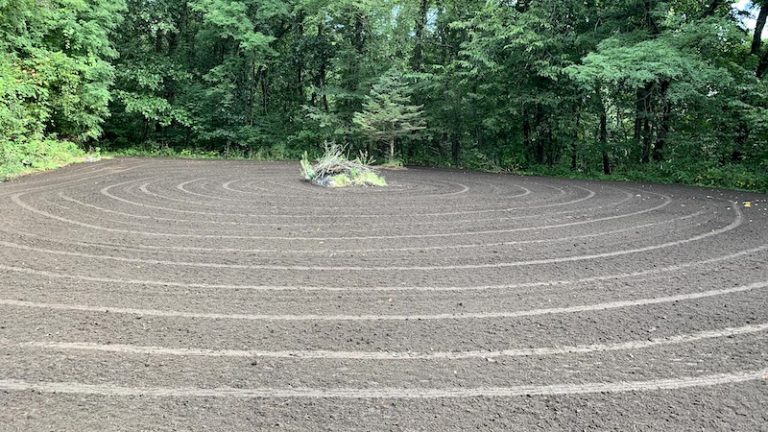 Yard Grading & Hydroseed in Delton, Michigan.