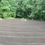 Grading & Hydroseed in Delton, Mi