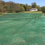 What You Need To Know About Hydroseeding