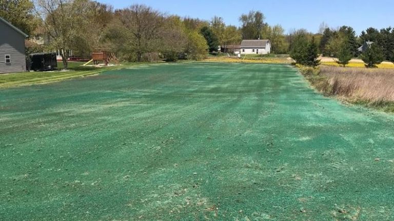What You Need To Know About Hydroseeding