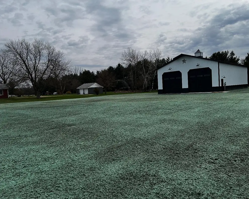 Yard after grading and hydroseeding