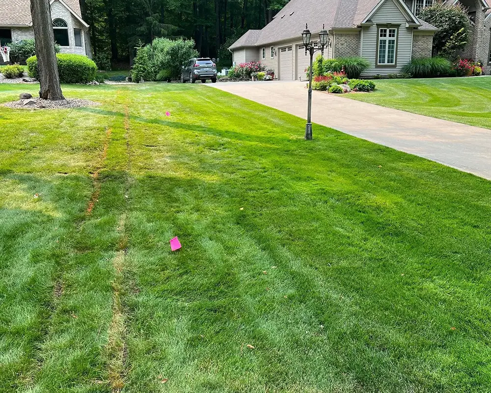 Hastings front yard after drainage installation with lawn protected