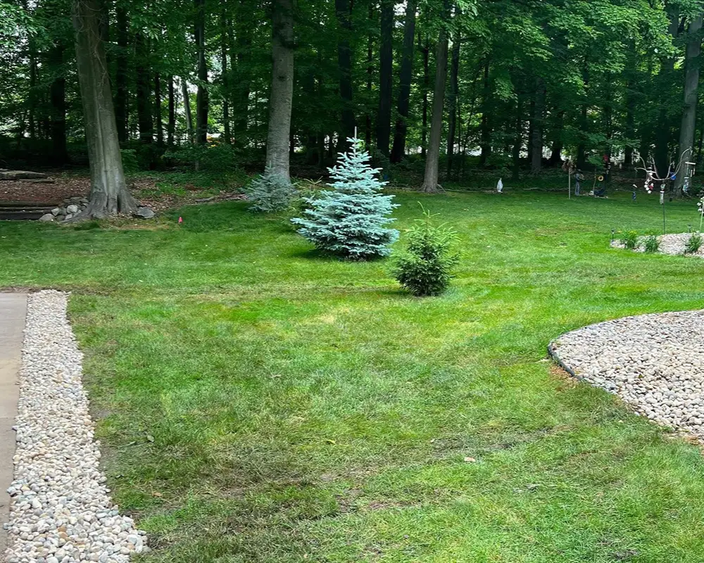Finished underground drainage work at Hastings property